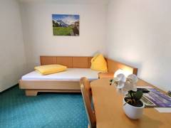 Zimmerbild 47