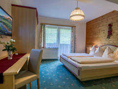 Zimmerbild 1