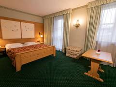 Zimmerbild 21