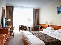 Zimmerbild 22