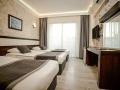 Zimmerbild 6