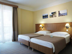 Zimmerbild 9