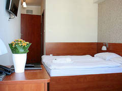 Zimmerbild 10