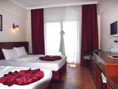 Zimmerbild 13