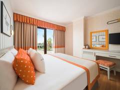 Zimmerbild 31