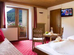Zimmerbild 8