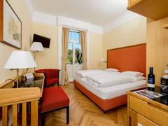 Zimmerbild 9
