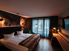 Zimmerbild 13