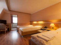 Zimmerbild 31