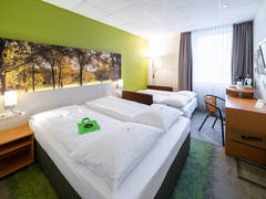 Zimmerbild 7