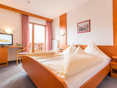 Zimmerbild 21