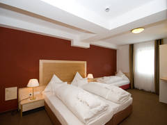Zimmerbild 23