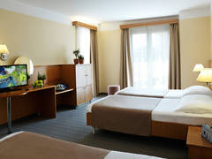 Zimmerbild 8