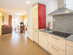 Zimmerbild 66