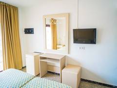 Zimmerbild 11