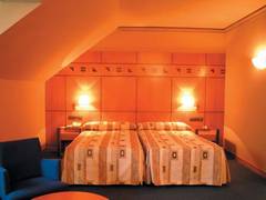 Zimmerbild 11