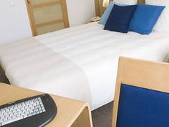 Zimmerbild 6