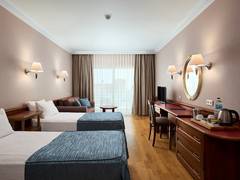 Zimmerbild 33