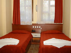 Zimmerbild 36