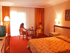 Zimmerbild 45