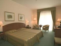 Zimmerbild 43