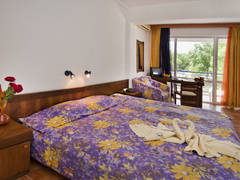 Zimmerbild 14