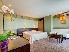 Zimmerbild 44