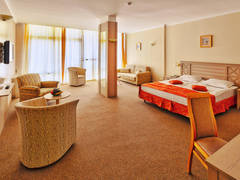 Zimmerbild 20