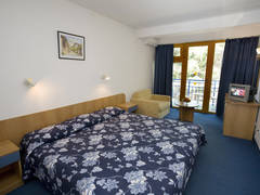Zimmerbild 33