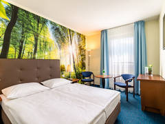 Zimmerbild 11