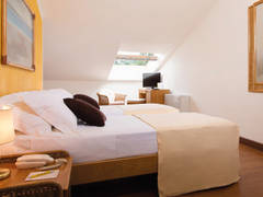 Zimmerbild 15
