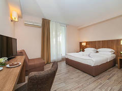 Zimmerbild 11