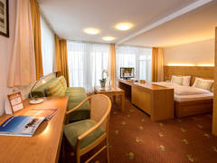 Zimmerbild 12