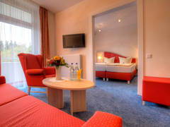 Zimmerbild 8