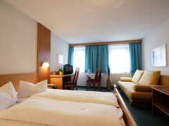 Zimmerbild 3