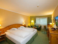 Zimmerbild 2