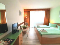 Zimmerbild 14