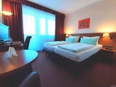 Zimmerbild 11