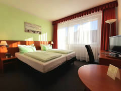 Zimmerbild 13