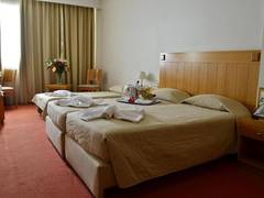 Zimmerbild 13