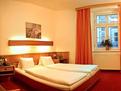 Zimmerbild 8