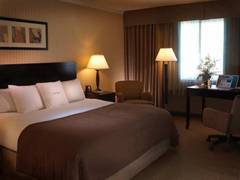 Zimmerbild 30