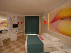 Zimmerbild 7