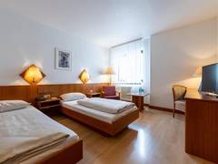 Zimmerbild 14