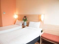 Zimmerbild 13