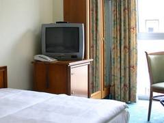Zimmerbild 1