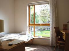 Zimmerbild 5
