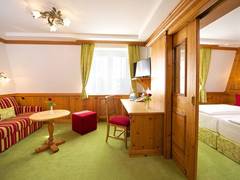 Zimmerbild 11
