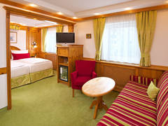 Zimmerbild 9