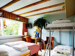 Zimmerbild 17